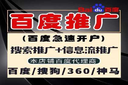 百度推广在电商行业的应用案例分析